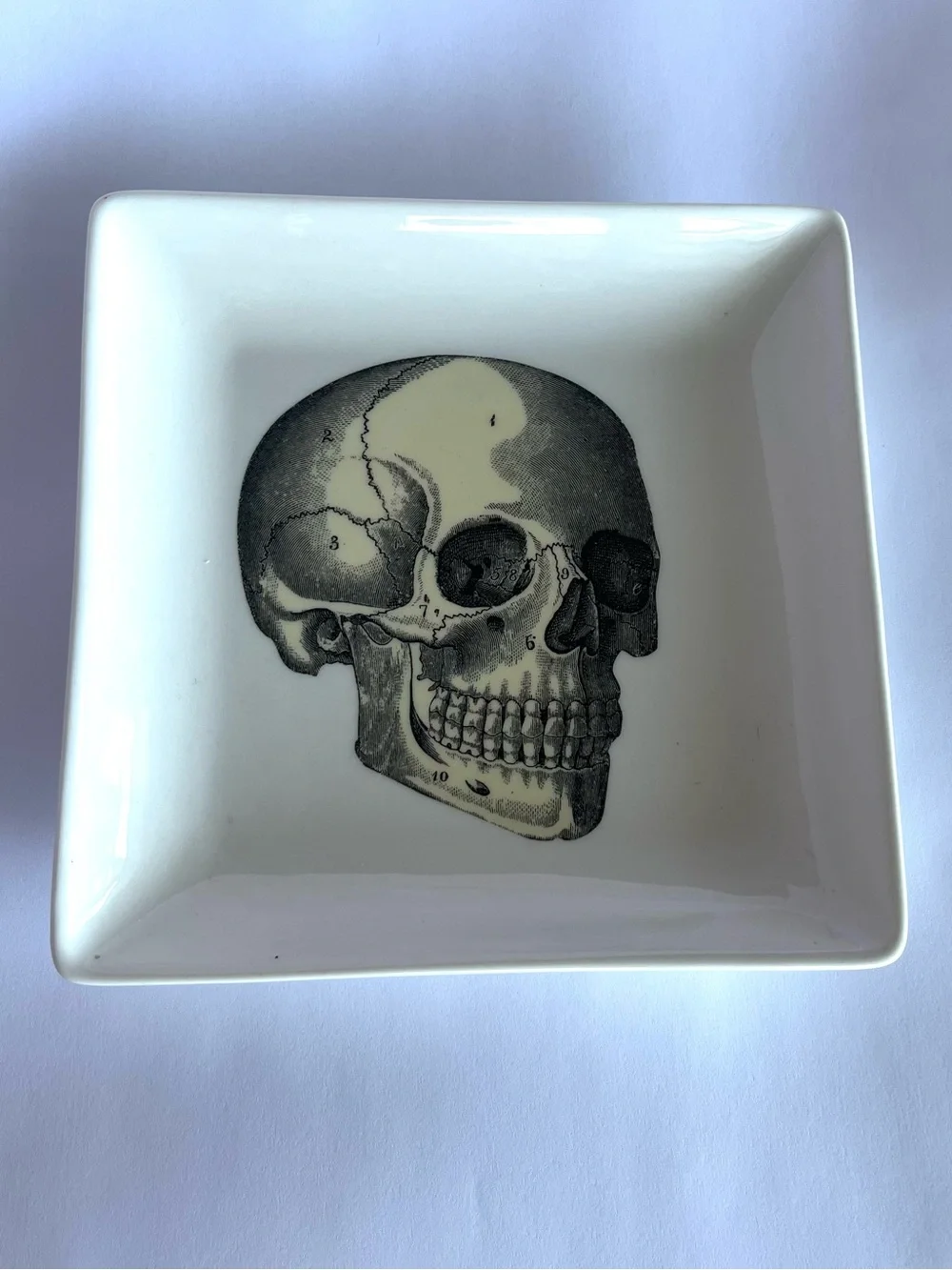 Skull Ring Dish Trinket Dish Ceramic Cream Yellow Black by Magpie